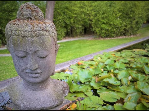 Episode 10/21: Die Weisheitswerkstatt 3. Interview mit Ajahn Michael über "Das Bedingte Entstehen"