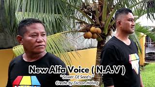 Download lagu NEW ALFA VOICE || Pimp Dicson Haling || SOWER OF SEED'S || Cipt, Dicson Haling || Prod. JP2 Record mp3