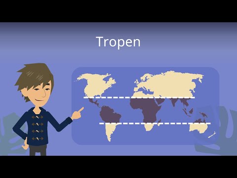 Tropen: Die Vegetationszonen -- Studyflix