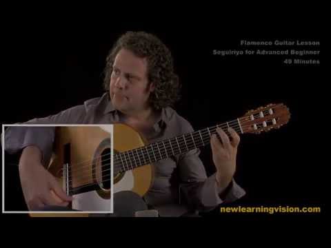 Demo of Flamenco Guitar Lesson, Seguiriya for Advanced Beginner by Adam del Monte