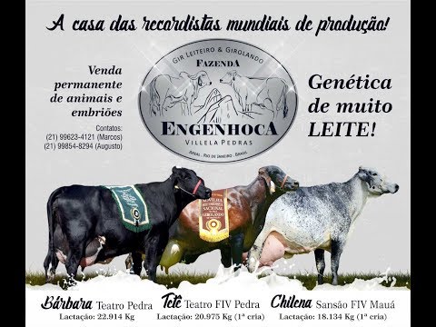 Leilão Fazenda Engenhoca, Gir e Girolando Villela Pedras | 12/02/2019