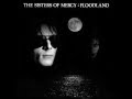 The Sisters of Mercy - Neverland (A Fragment ...