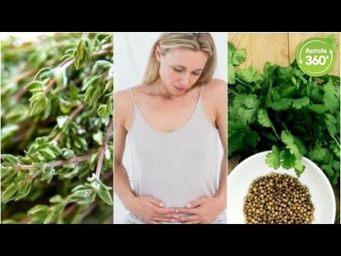 download lagu mp3 mp4 Carminative Herbs, download lagu Carminative Herbs gratis, unduh video klip Carminative Herbs