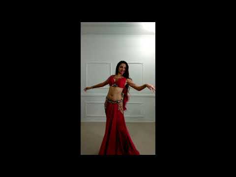 Beautiful Red Belly Dance Costume With Wings