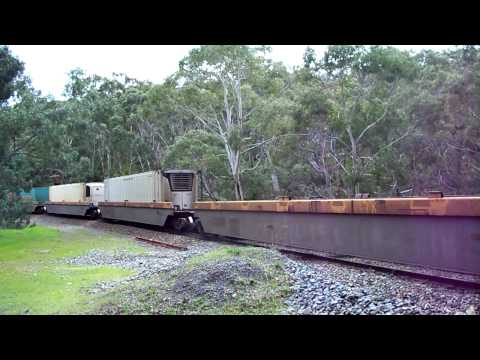 Container Train Belair National Park