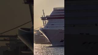 MSC Divina 🛳️ #travel #like #subscribe #comment #cruise #vacation #shortvideo #shortsvideo #shorts
