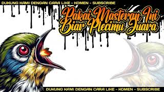 Download lagu MASTERAN PLECI FULL KENARIAN - TEMBAKAN TERBARU 2024 - #masteranpleci #masteranistimewa mp3