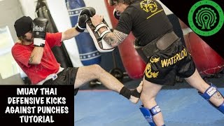 Muay Thai Defensive Kicks Against Punches