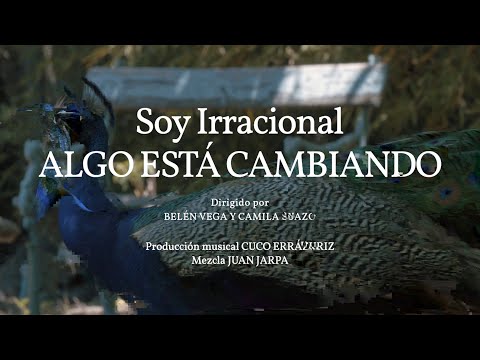 Soy Irracional - Algo Está Cambiando | Video Oficial