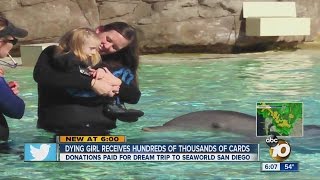 Dying girl's Christmas wish comes true