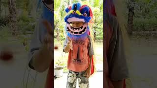 Download lagu Suara Latto Latto ada kodok mp3 Download lagu Suara Latto Latto ada kodok mp3