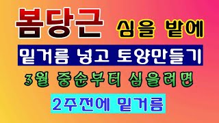 [텃밭농부.1,355]  봄당근 심을 밭에 토양만들기. #봄당근 재배.