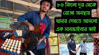শুধু মাত্র টাইগার মুরগির খামার দেখতে চলে এলো || অরিজিনাল টাইগার মুরগির বীজ ডিম || Bird's Agro