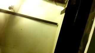 Garwood Brothers - Think it over again / Glen Brown - I'm your puppet