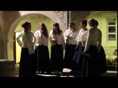 Klapa Nava -   U đardinu bila ruža cvate