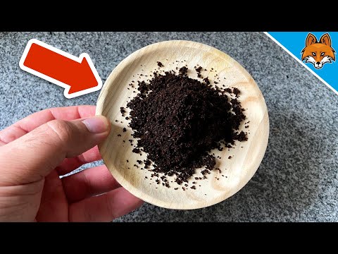 , title : 'You'll NEVER throw away Coffee Grounds again after seeing THIS 💥 (8 SECRET Tricks) 🤯'