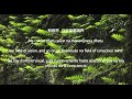 Prajnaparamita Heart Sutra (日本語字幕)(Sanskrit ...
