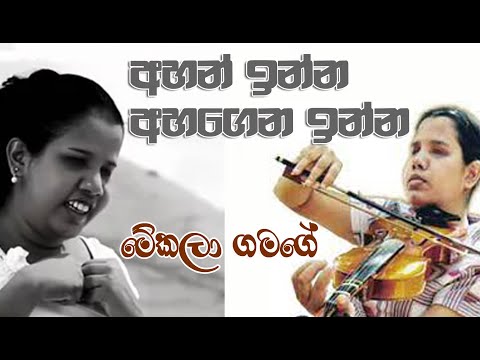 අහන් ඉන්න අහගෙන ඉන්න || Ahan Inna Ahagena Inna || Mekala Gamage || #song_wallet