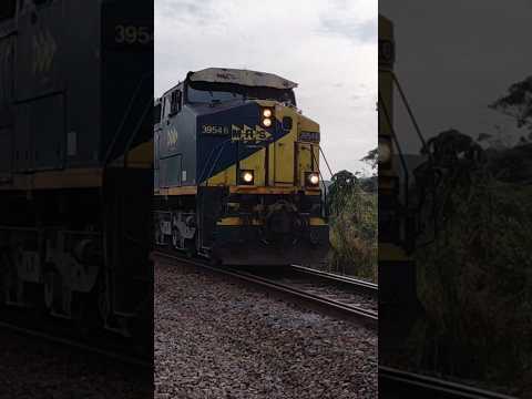 Trem MRS com 50 vagões pranchas passando em Alfredo Vasconcelos #shorts #viral #fyp #train #mrs