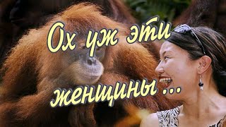 ох уж эти женщины!