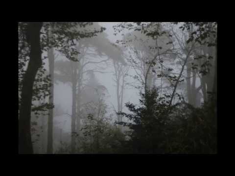 Of Cabbages And Kings - Short Line Of Angels