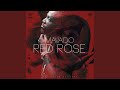 Red Rose