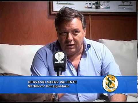 GERVASIO SAENZ VALIENTE