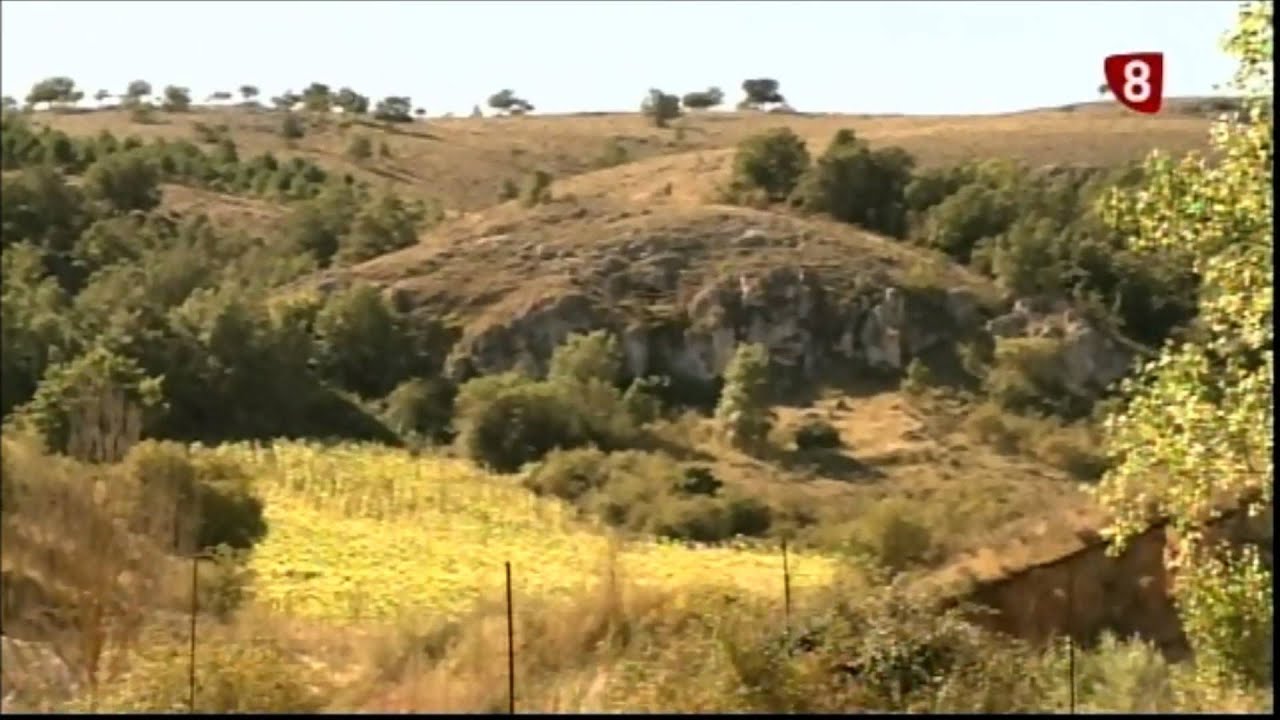 Programa de televisión de Olmos de Atapuerca en La 8 Burgos