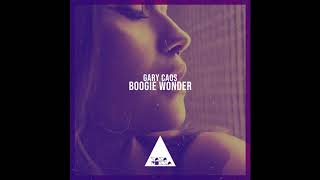 Gary Caos - Boogie Wonder video