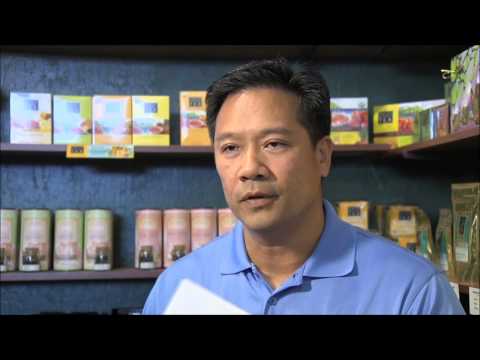 An Island Tea Story
