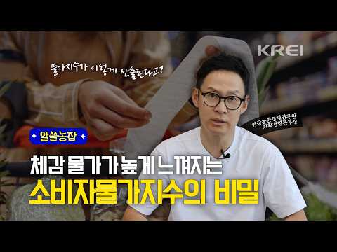 소비자물가지수의 비밀! 체감 물가가 높게 느껴지는 이유가 따로 있다고?! l 연구보고서 R2025-13 동영상표지