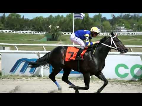 221014 c02 - NARDONE - HIPODROMO LAS PIEDRAS