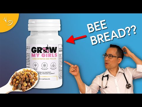 Bee Bread vs Bee Pollen: Which Is Actually Better?