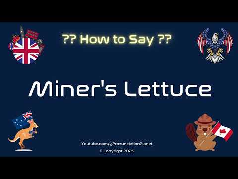 🥬⛏️ How to Pronounce Miner's Lettuce? (CORRECTLY) | Pronunciation Planet