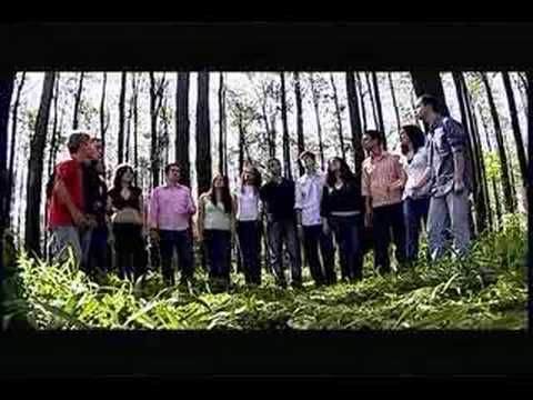 Uma Forca Chamada Amor