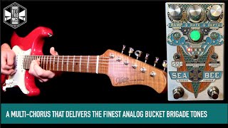 Video thumbnail for Beetronics Seabee Harmochorus by Mike Hermans
