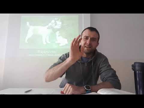 Szymon z Cyreny - katecheza klasa V