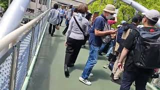歩道橋プロテストをライブ配信！#斎藤元彦#斎藤マダム#歩道橋プロテスト#政治#Vlog のハイライト 24:33 - 29:33