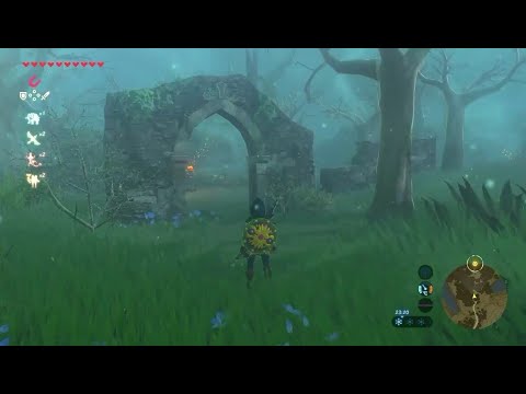 Botw: Lost Woods guide