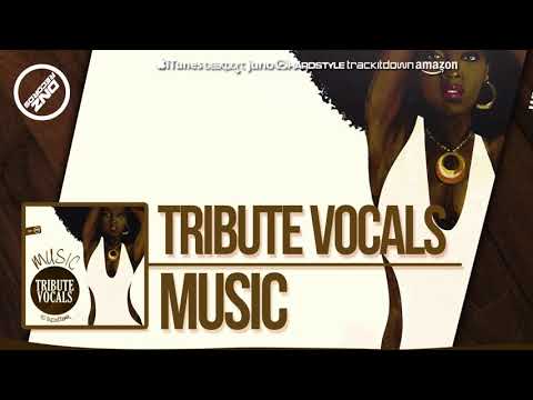 DNZ322 // TRIBUTE VOCALS - MUSIC (Official Video DNZ RECORDS)