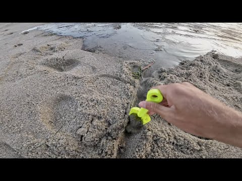 Small Child Connects River To Ocean