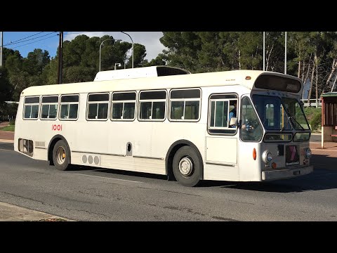 Preserved Volvo B59 1001 at Old Reynella Interchange