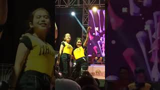 Download lagu andalangga MALUCCA 02 #malucca02 #soppeng #bugis #viral #malucca02entertainment #maluccaintertaiment mp3