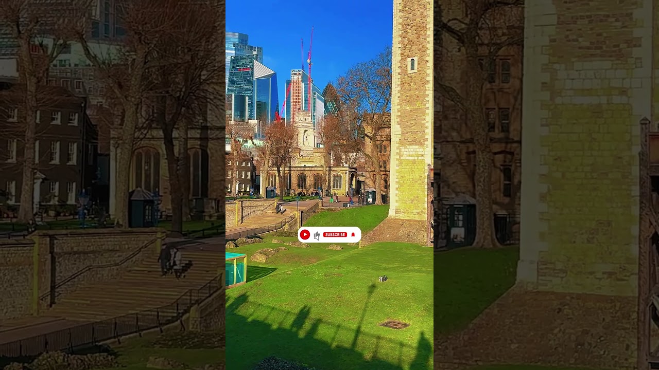 YouTube Short thumbnail