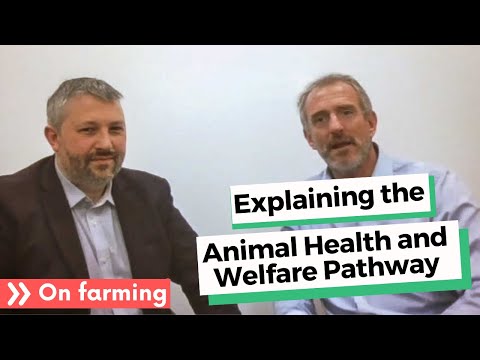Explaining the Animal Health and Welfare Pathway