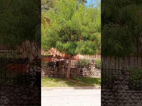 Valle Hermoso, Punilla, Córdoba, Argentina.#vallehermoso