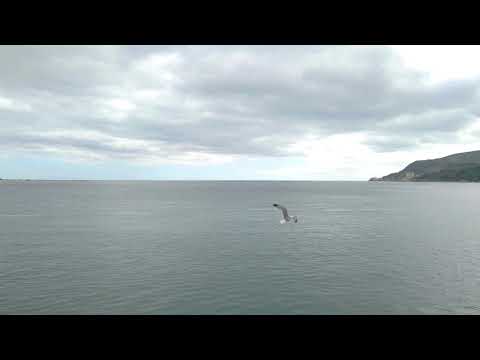 #4K PRAIA DE ALBARQUEL - SETÚBAL