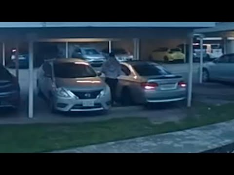 Video shows moments before federal agent fired shots in Willowbrook during operation