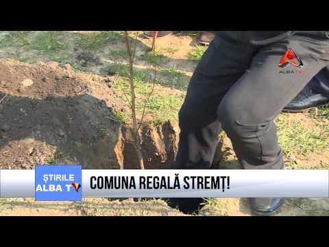 Comuna regală Stremț!