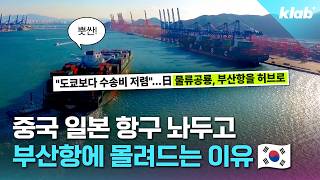 자기 나라 항구 놔두고 온다고? 항구 맛집된 부산항 근황｜크랩